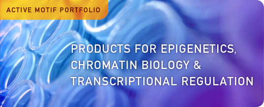 Products for Epigenetics, Chromatin Biology and Transcriptional Regulation