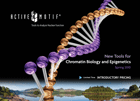 Click here for information on current Active Motif Promotions Current Active Motif Promotions