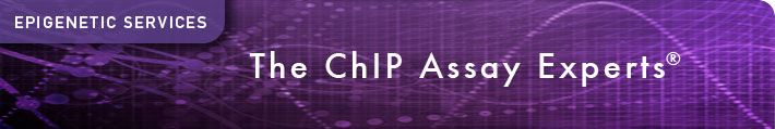 Epigenetic Services