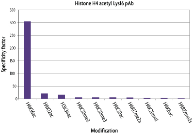 Graphical analysis of histone H3K4me2 antibody array