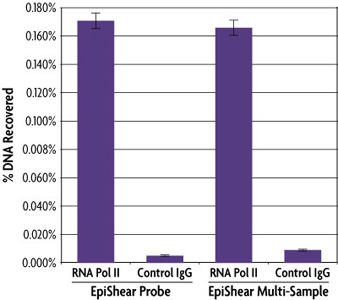 qPCR data showing ChIP of HeLa chromatin sheared with the EpiShear Probe and Multi-Sample Sonicators