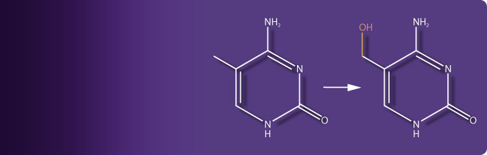 5-Hydroxymethylcytosine Research