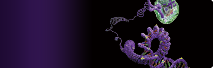 DNA Methylation Products