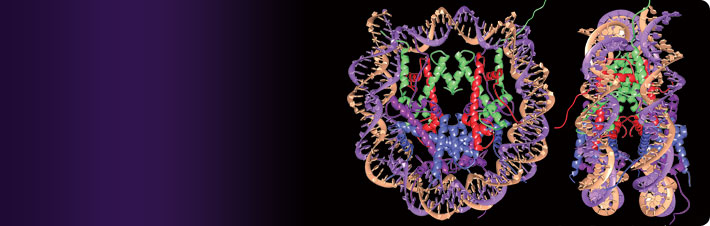 Histone Analysis Products