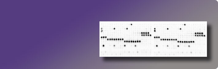 MODified Histone Peptide Array