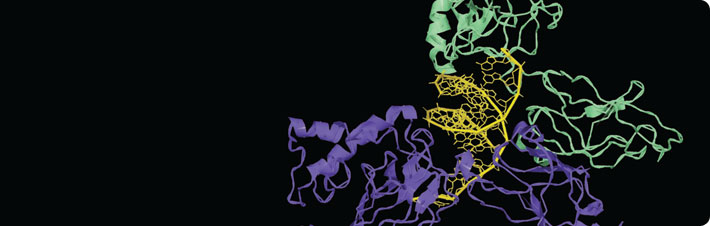 TransAM DNA-binding ELISAs