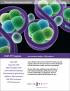 ChIP-IT_profile_cover_1203_web_70x200