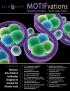 Mv11_70x200.2_web