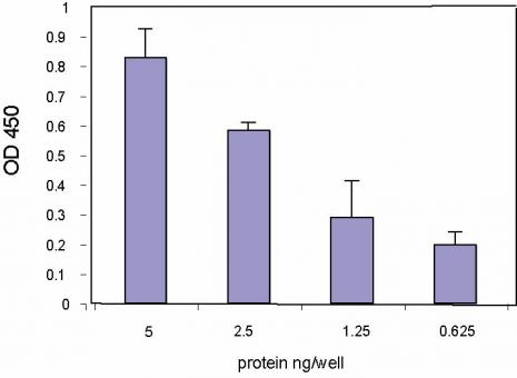 TransAM<sup>®</sup> standard curve using Recombinant c-Myc protein.