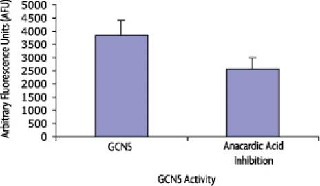 Recombinant GCN5 protein activity assay