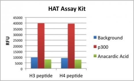 Recombinant p300 activity assay