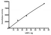 LSD1 activity assay
