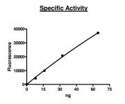 HDAC2 Coomassie gel