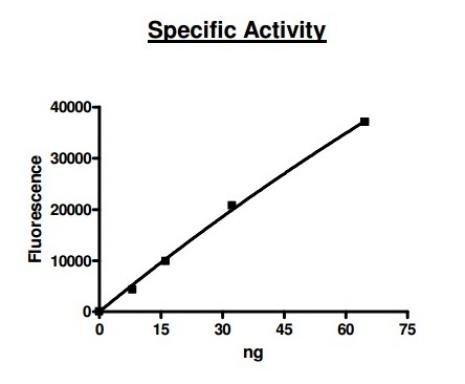 HDAC2 Coomassie gel