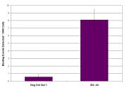 Sp1 antibody tested by Western blot.