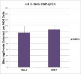 Histone H3, C-terminal antibody tested by Western blot.