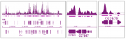 Histone H2Av antibody tested by Western blot.