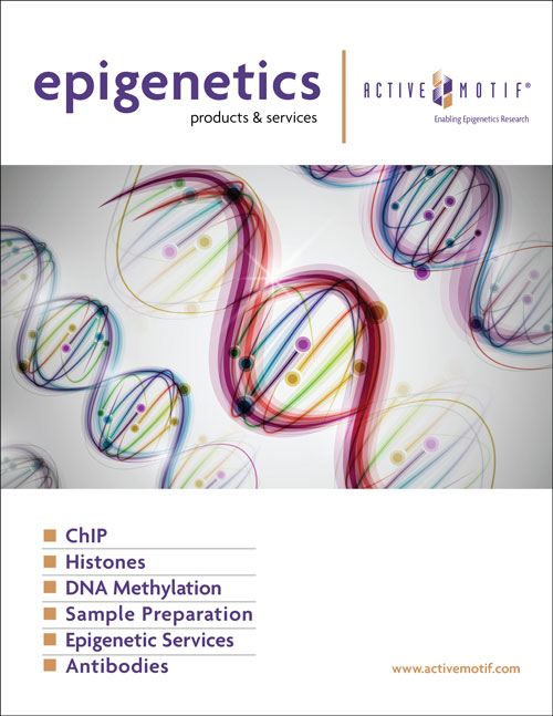Epigenetics Products & Services