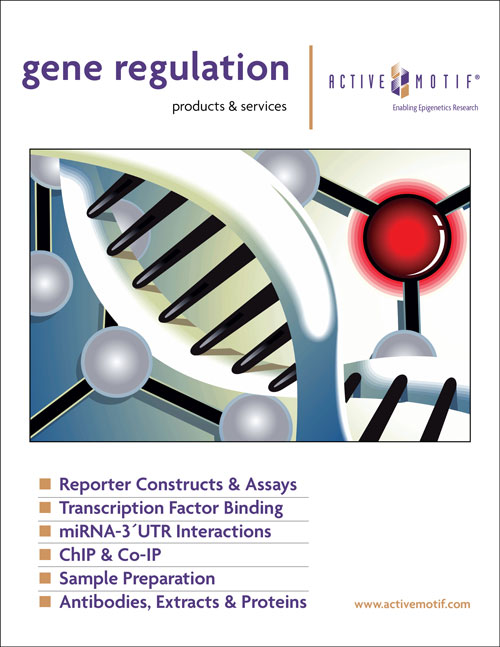Gene Regulation Products