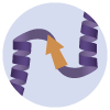 Enzymes