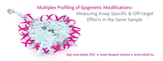 Multiplex Epigenetic Profiling Webinar