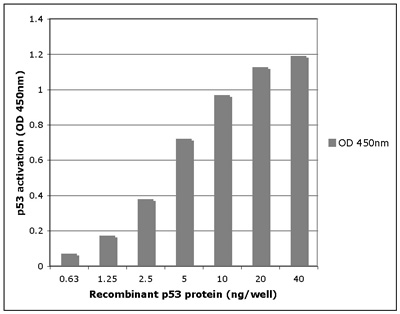 TransAM<sup>®</sup> standard curve using Recombinant p53 protein.