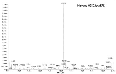 ESI-TOF mass spectrometry of Recominant Histone H3K23ac(EPL)