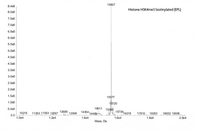 ESI-TOF mass spectrometry of Recominant Histone H3K4me3 biotin (EPL)