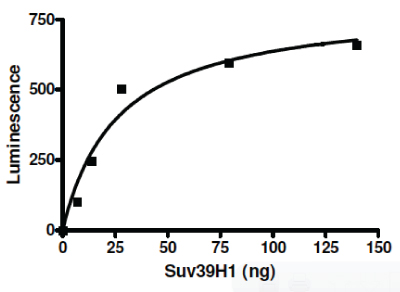 SUV39H1 activity assay