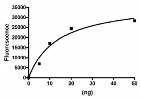 HDAC5 activity assay