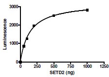 SETD2 (1418-1714) activity assay