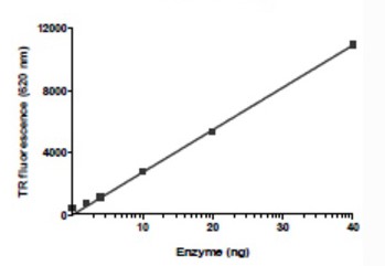 SUV39H2 activity assay