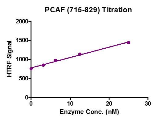 Recombinant KAT2B / PCAF (715-829) protein activity assay.