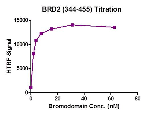 BRD2 (344-455) activity assay