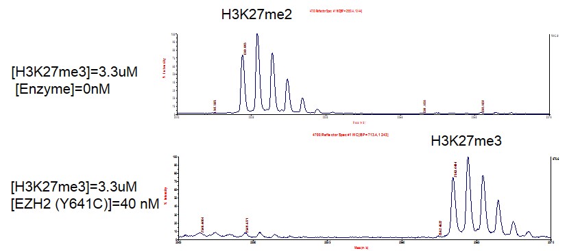 PRC2 EZH2(Y641C) complex activity assay
