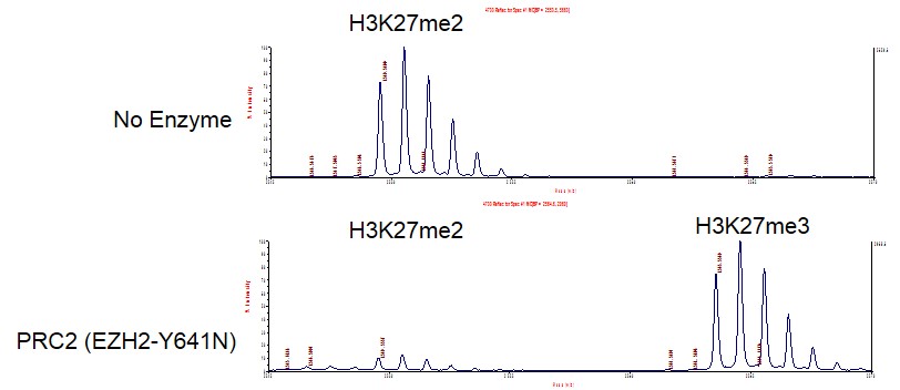 MALDI-TOF for PRC2 EZH2 (Y641N) activity.