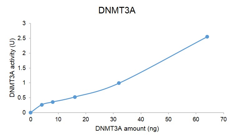 DNMT3A protein DNMT assay