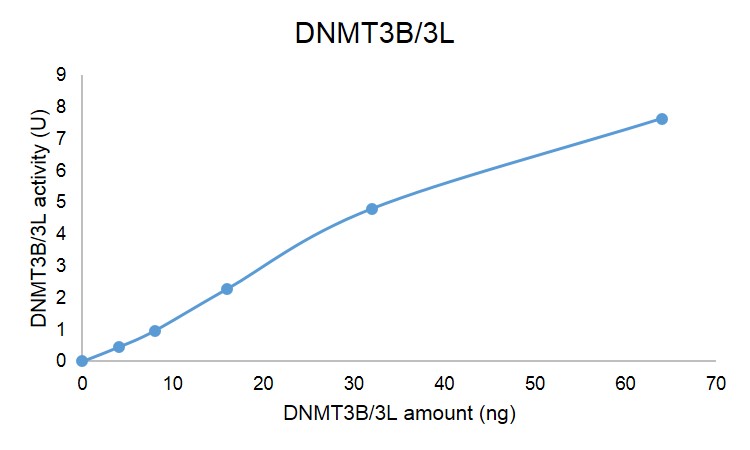 DNMT3B / DNMT3L complex DNMT assay