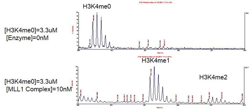 Recombinant KMT2A (MLL1) complex HMT activity assay