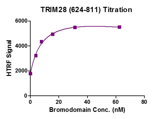 TRIM28 (624-811) activity assay