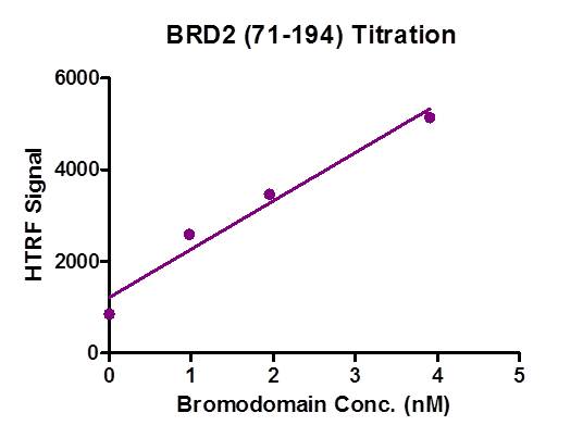 BRD2 (71-194) activity assay