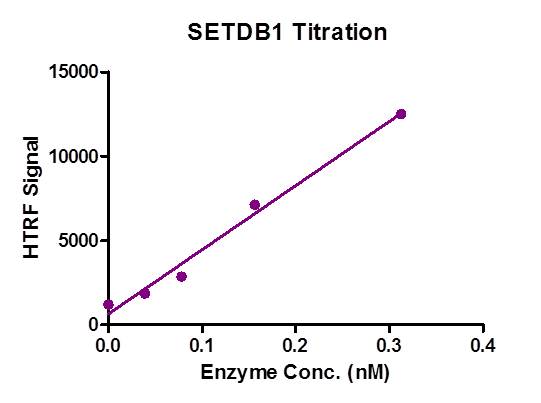 HTRF Assay for Recombinant SETDB1 protein activity.