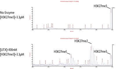 UTX / KDM6A activity assay