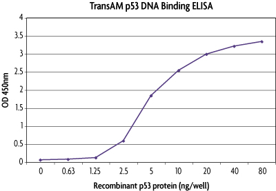 TransAM<sup>®</sup> standard curve using Recombinant p53 protein.