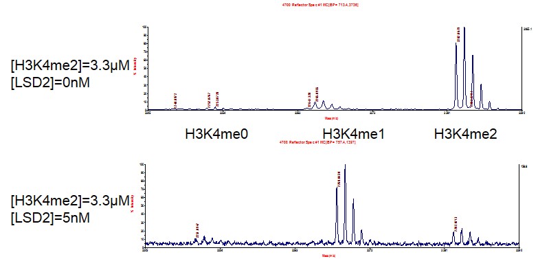 KDM1B / LSD2 activity assay