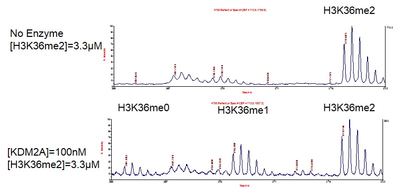 KDM2A / FBXL11 protein demethylation assay