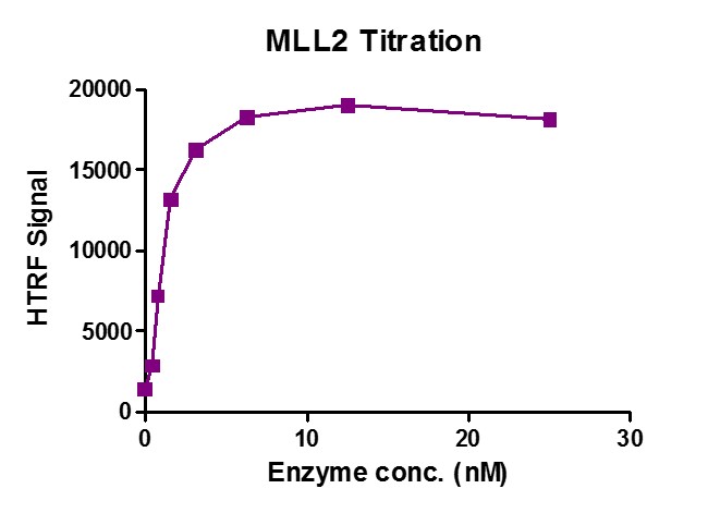 Recombinant KMT2D (MLL2) complex HTRF activity assay