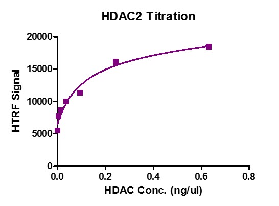 HDAC2 protein activity assay