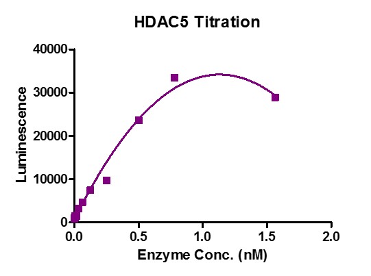 HDAC-GloTM Class IIa Assay for HDAC5 activity