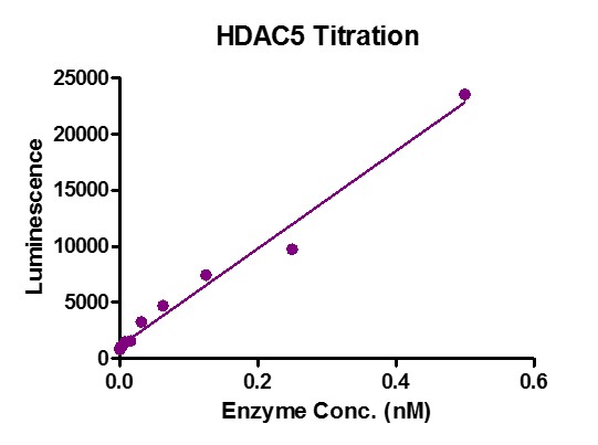 HDAC-GloTM Class IIa Assay for HDAC5 activity